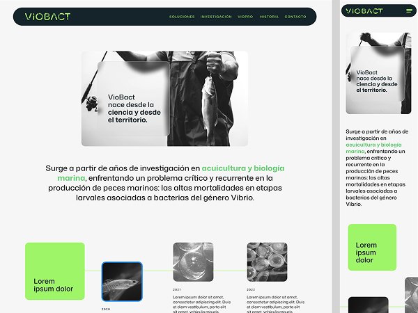 School district responsive wireframes across breakpoints
